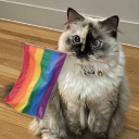 Discovery icon for LGBTQIA+ Merkezi Türkiye Discord server