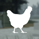 Discovery icon for HenDev™ 🐔 Discord server