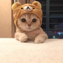 Discovery icon for Cat PvP Discord server