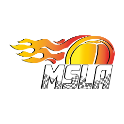 Discovery icon for MSLA Racing Network Discord server