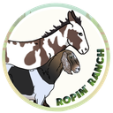 Discovery icon for Ropin' Ranch Discord server
