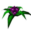 Discovery icon for Sefaris Discord server