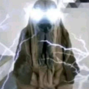 Discovery icon for Storm Discord server
