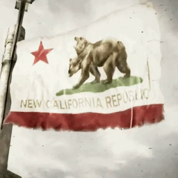 Discovery icon for The New California Republic Discord server